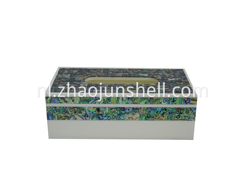 abalone shell tissue box